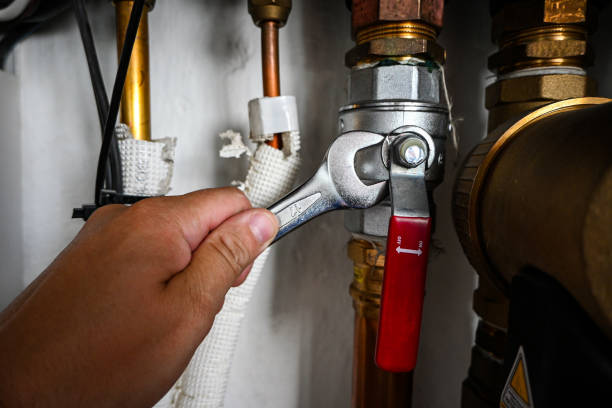Best Local Plumber Services  in Pewee Valley, KY